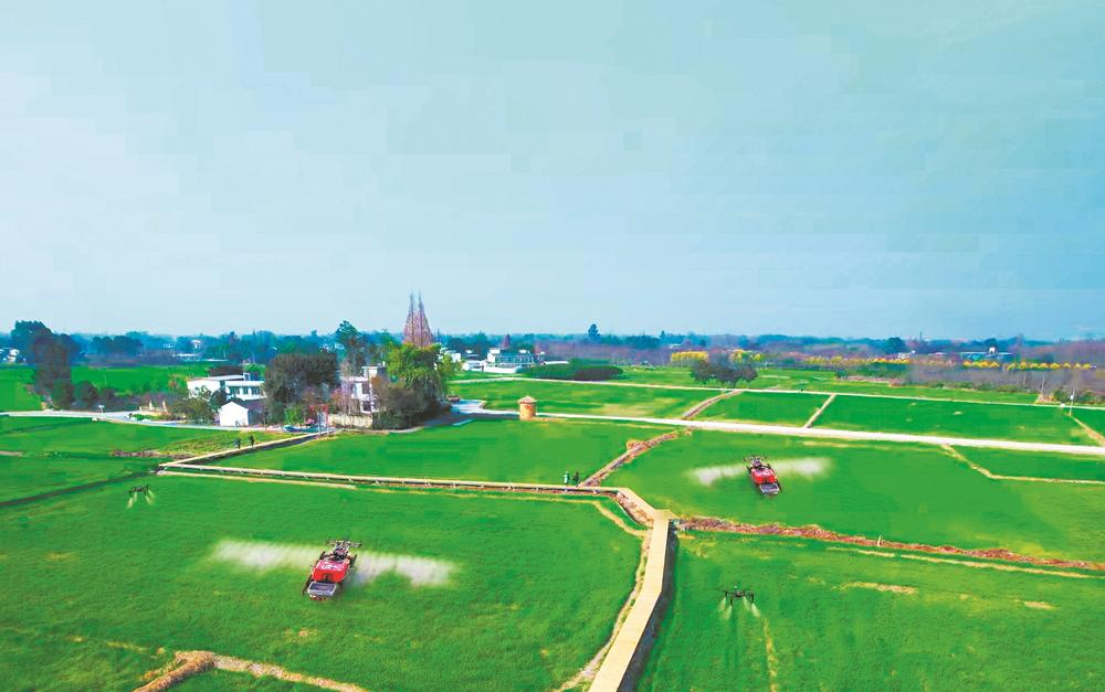 成都高标准农田春耕忙