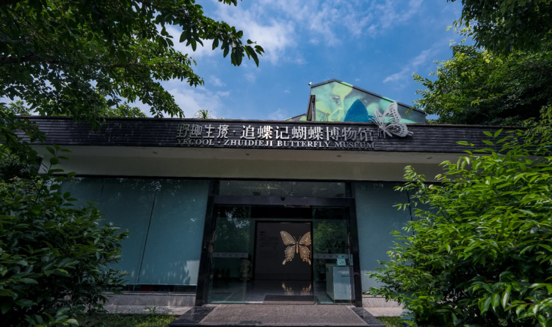 免费开放!成都又一博物馆来了