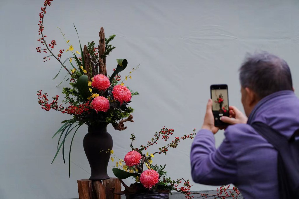 10万余盆菊花亮相 人民公园赏菊活动今日启幕