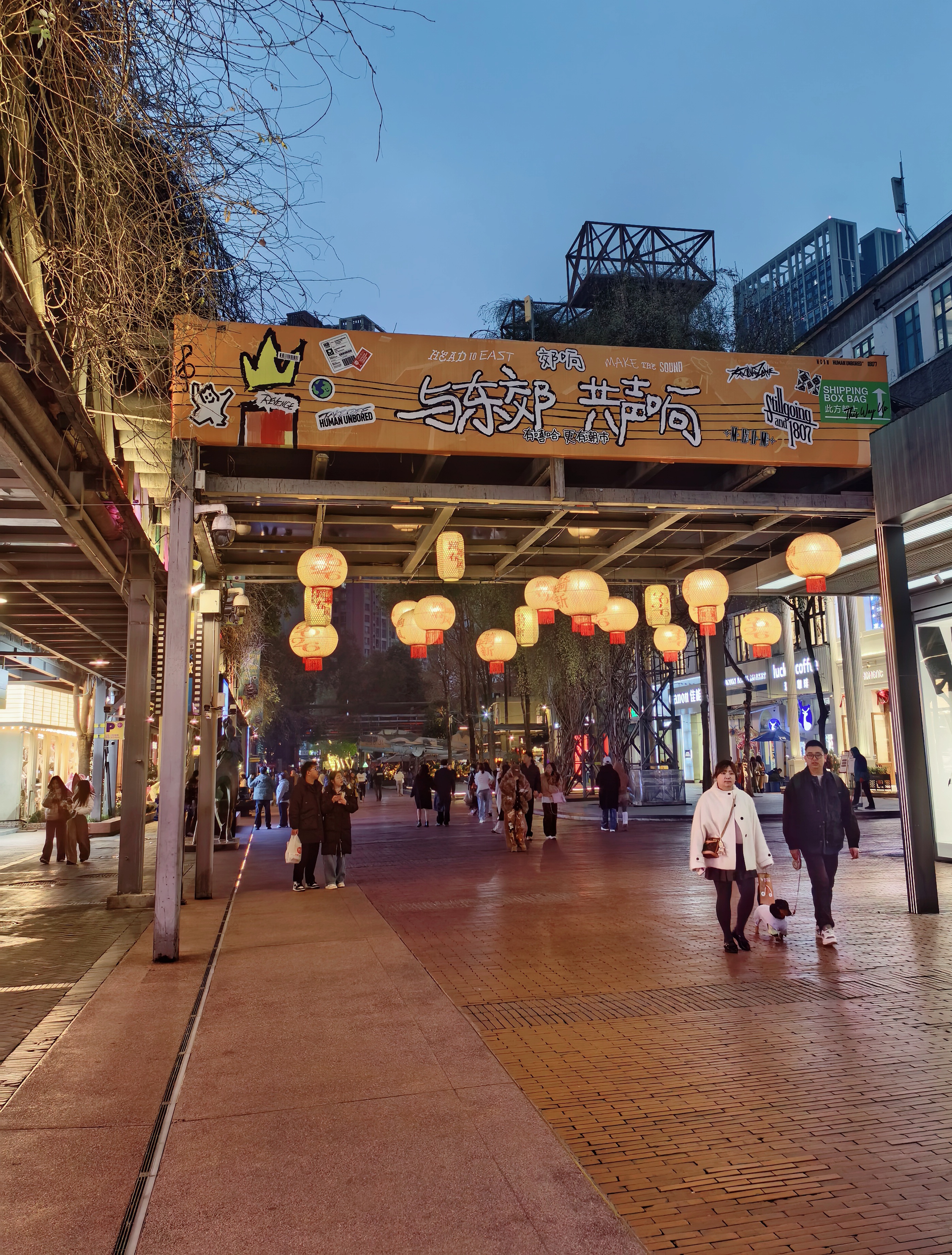 灯笼长廊迎新年 成都东郊记忆年味浓