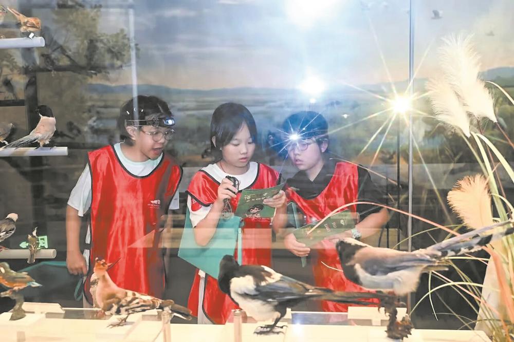 春假清明假期临近 成都各大博物馆推出特色活动