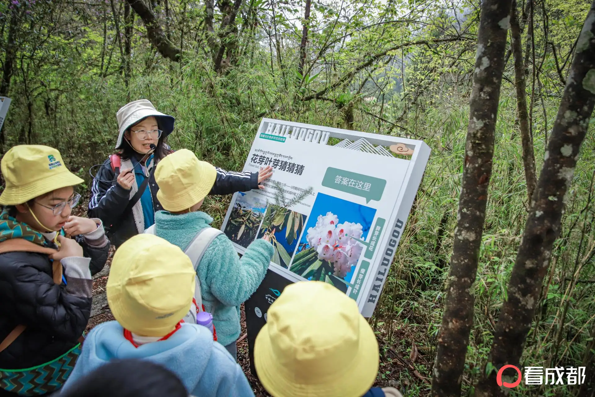 海螺沟春假师生免票！推出三大冰川徒步打卡路线