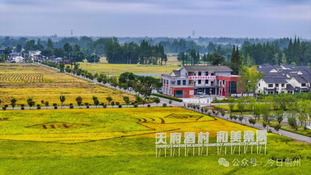 从“春糖会”到“村糖会”：崇州天府酒村的“诗酒田园”新答卷